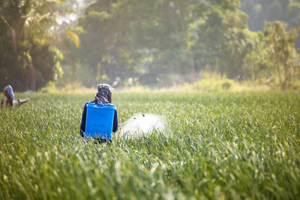 农民使用化肥种菜图片下载