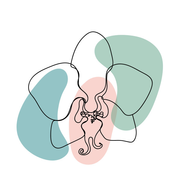 花在白色背景上的线性风格图片下载