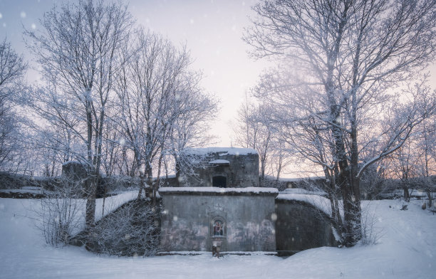 在冬季的圣彼得堡克龙施塔特市亚历山大沙涅茨堡的图标图片下载