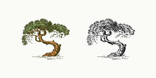 复古风格的橄榄树。希腊的国家象征。手绘雕刻素描在复古风格。模板的卡片，标签或网站图片下载