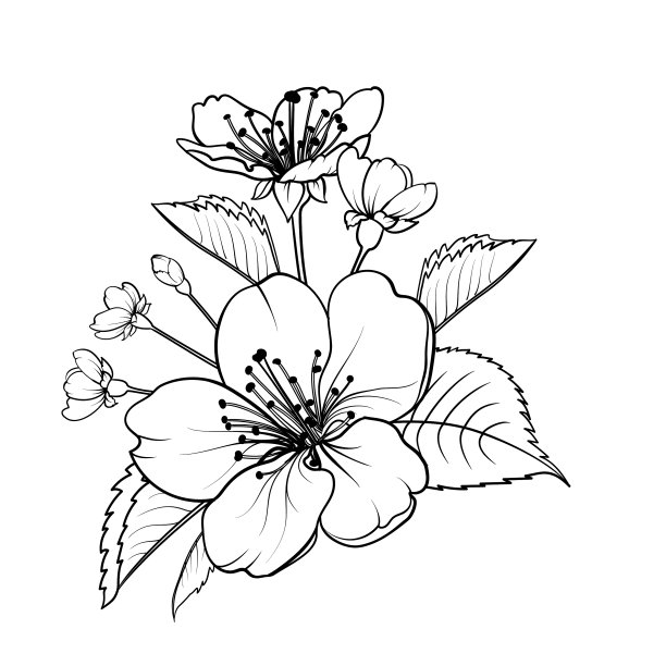 手绘设计元素樱花图片下载