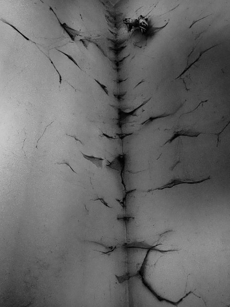 肮脏房间的墙上挂着蜘蛛网图片下载