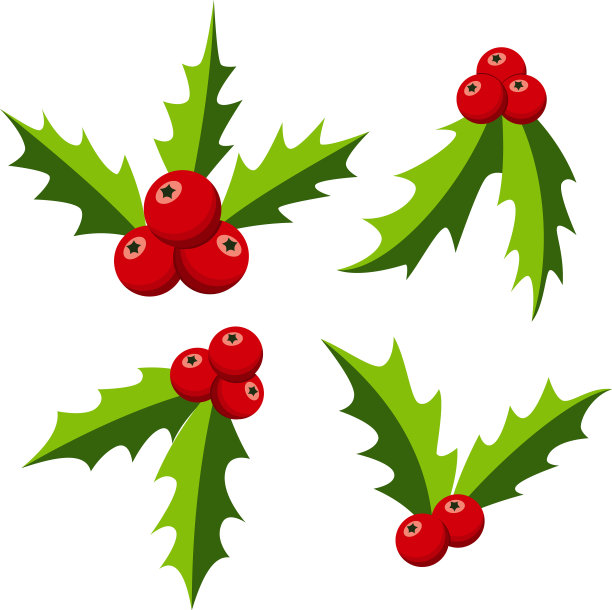 圣诞冬青莓叶和槲寄生集图片下载