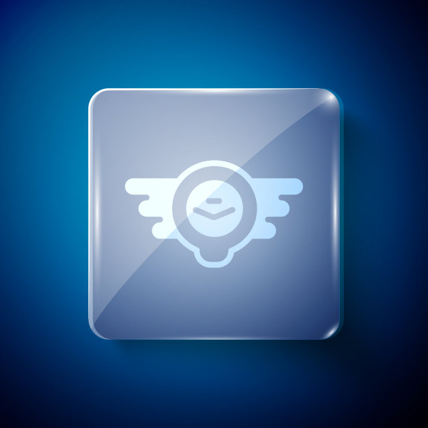 白色航空徽章图标孤立在蓝色图片下载