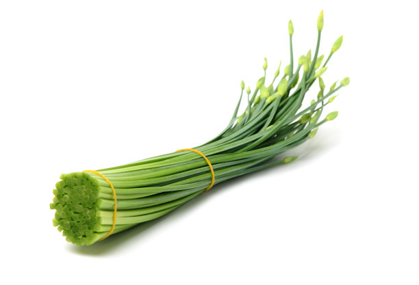 一束花韭菜图片下载