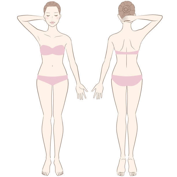 女性身体在全长美丽。矢量图图片下载