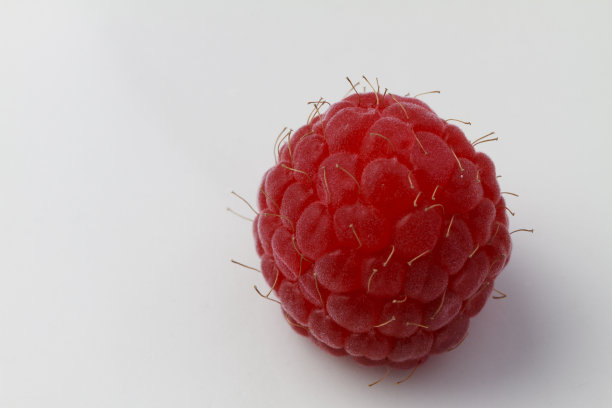 树莓孤立图片下载