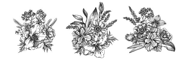 花束黑白银莲花图片下载