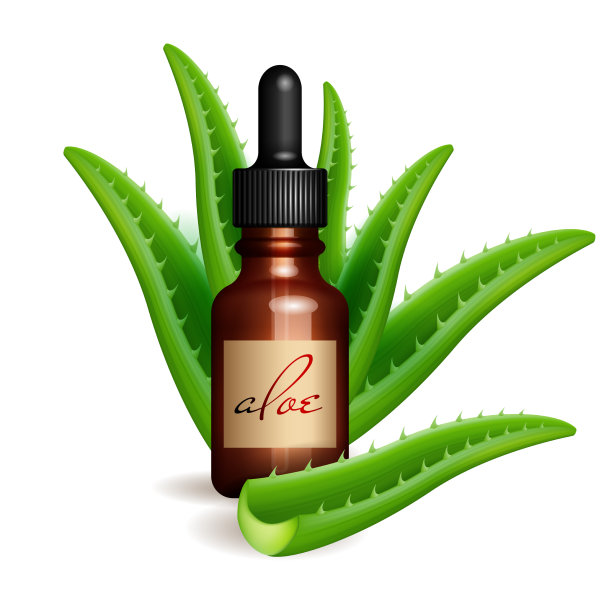 逼真的芦荟和精油瓶图片下载