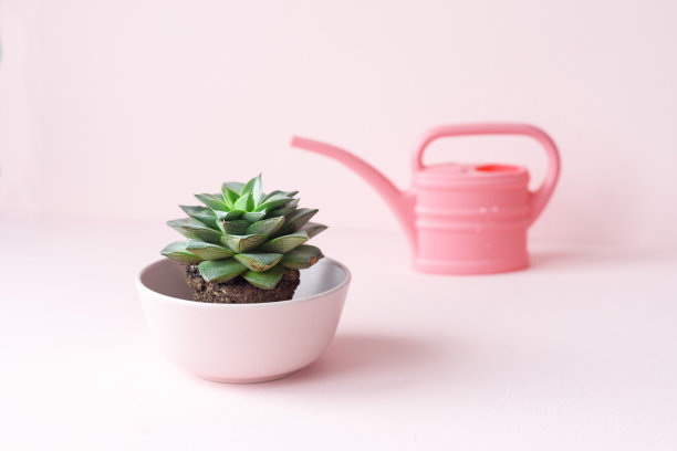 女人的手握得住图片下载