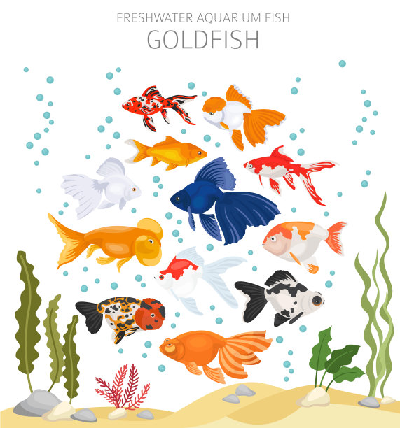 金鱼淡水水族箱鱼类图标扁平化设计图片下载