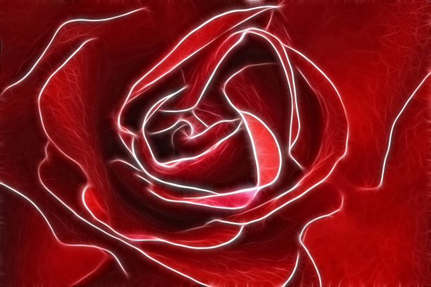 玫瑰——分形图片下载