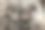 高加索牧羊犬-分形图片下载