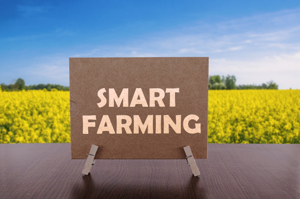 智能农场文字卡在桌上，黄色的田野和蓝色的天空背景。图片下载