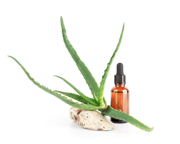 新鲜的芦荟叶和棕色的玻璃瓶与精油。图片下载