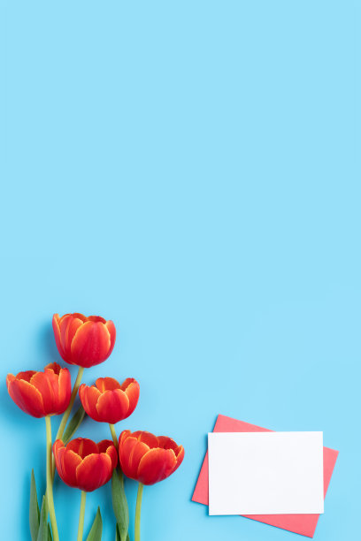 以鲜亮的蓝色桌子为背景，搭配红色郁金香花束的母亲节节日问候礼物的设计理念图片下载