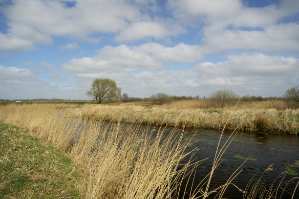 自然保护区有一条小溪和美丽的多云的天空图片下载