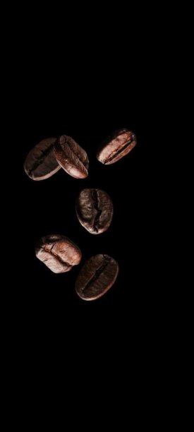 咖啡豆图片下载