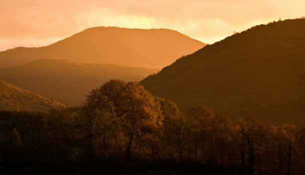 令人惊叹的日落撞击一些树在前景和一些山在远处。美丽的山景和橙色的天空。图片下载