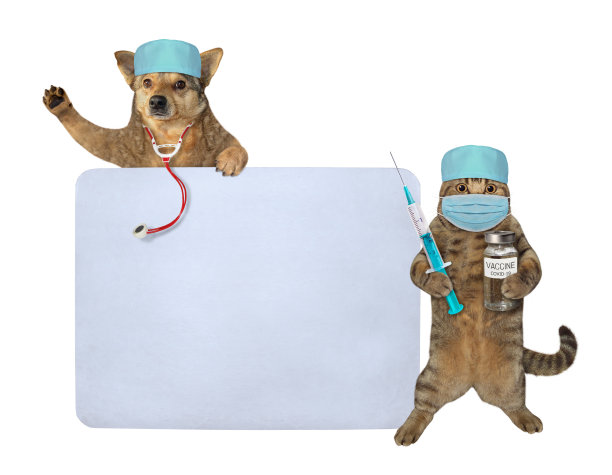 狗和猫接种接近空白标志图片下载