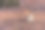 纽约中央公园的松鼠。松鼠吃坚果。美国曼哈顿图片下载