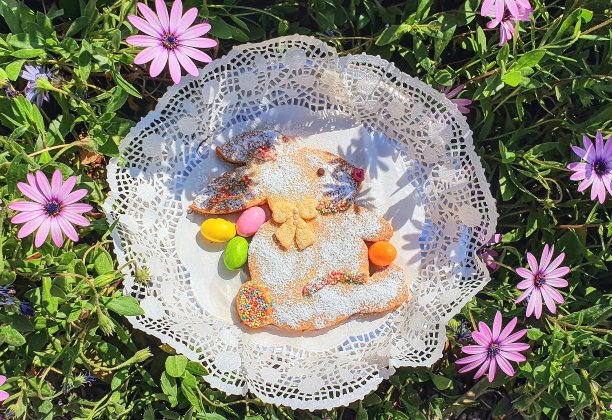 复活节兔子。图片下载