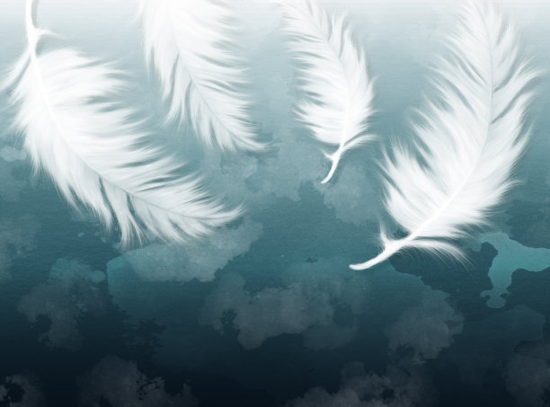 3d壁画现代墙纸。黑色背景中的白色羽毛图片下载