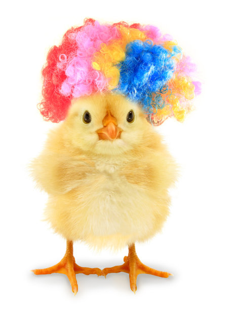 白色背景上头发更疯狂的疯女人图片下载