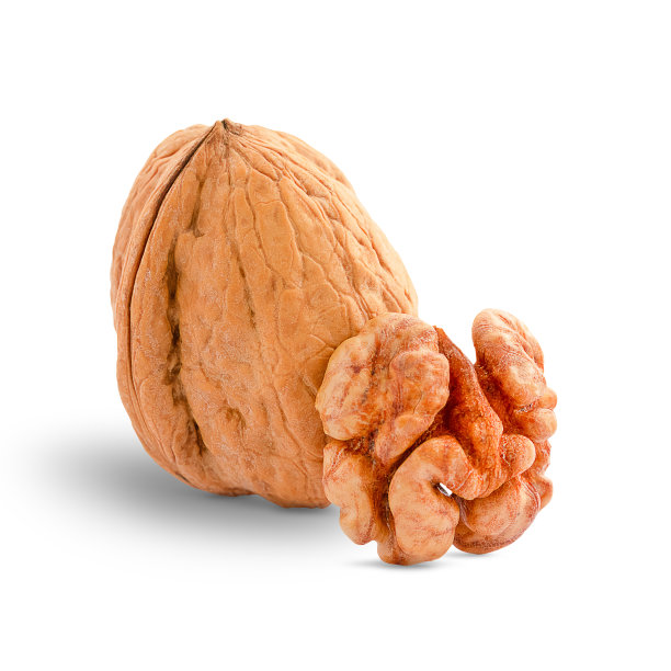 核桃和核桃仁在白色背景上，核桃孤立图片下载