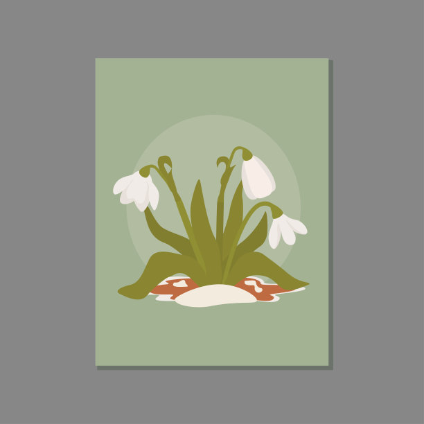 雪中的雪花莲。象征着春天的到来。第一次花。图片下载