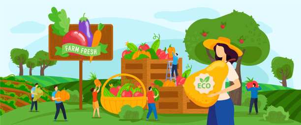 收获的水果蔬菜图片下载