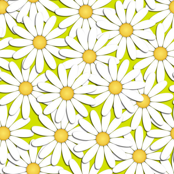美丽的现代背景无缝图案与白色洋甘菊花剪纸。图片下载