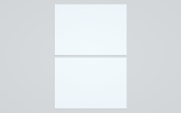 A4传单/信头模型-两张传单图片下载