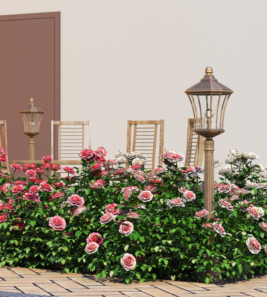街灯周围都是玫瑰。图片下载