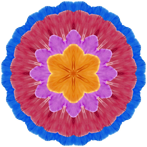 曼陀罗来自干压花，花瓣。樱草属植物,月见草。曼荼罗是佛教、印度教、瑜伽的象征。用东方风格的花卉元素装饰曼陀罗，放松和冥想。图片下载