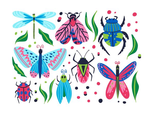 昆虫。卡通涂鸦鲜艳多彩的蝴蝶和蜻蜓，手绘蛾和甲虫，瓢虫和虫子，美丽的粉红色和蓝色现代装饰收藏，矢量孤立插图图片下载