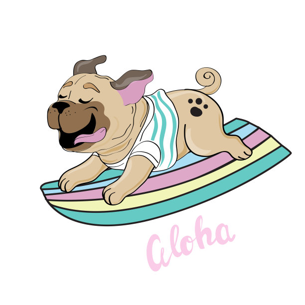 白色背景上冲浪板上的可爱哈巴狗图片下载