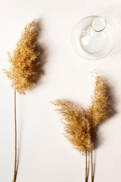 干草和透明的花瓶在浅色的背景上。副本的空间。最小，风格的概念博客。秋天的静物画。图片下载