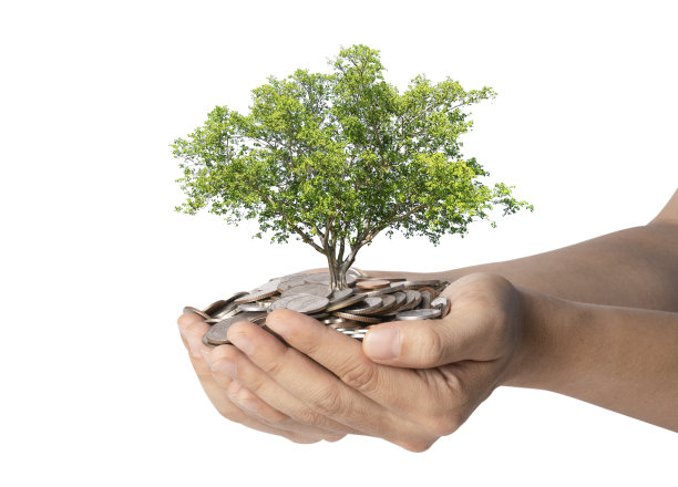 孤立的树生长在两手捧着堆硬币的白色背景上，省钱为投资理念。图片下载