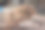 路边的一堆或一堆砍倒的树干素材图片