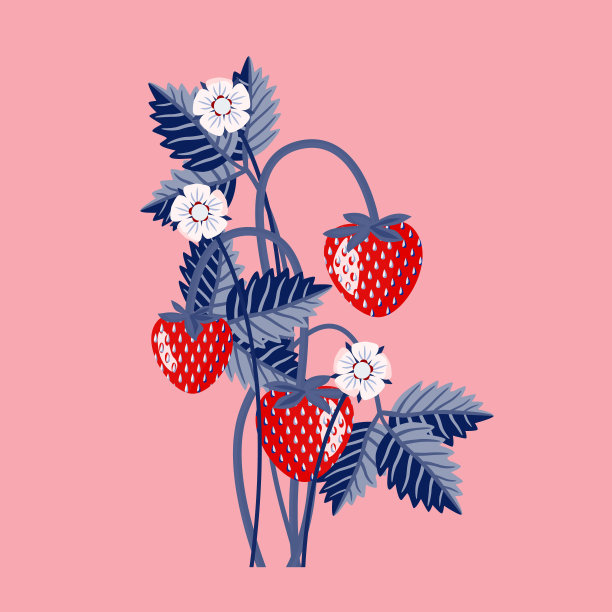 载体-草莓与叶子，插图模板。图片下载