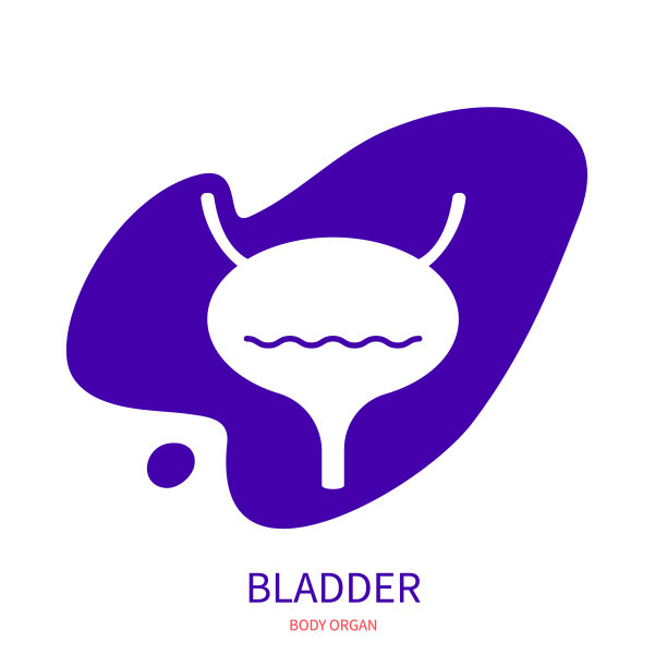 人体膀胱器官轮廓象形图标图片下载
