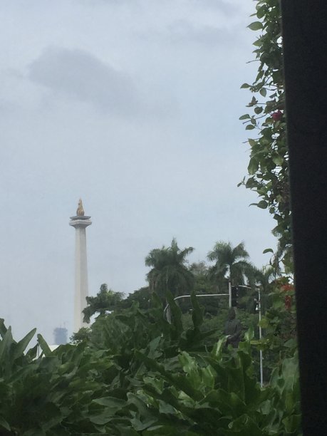 印尼滴虫图片下载