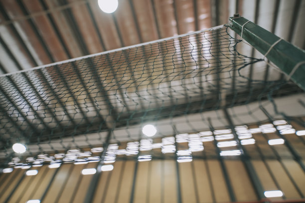 在羽毛球场地的黑色运动网和白色条纹正下方图片下载