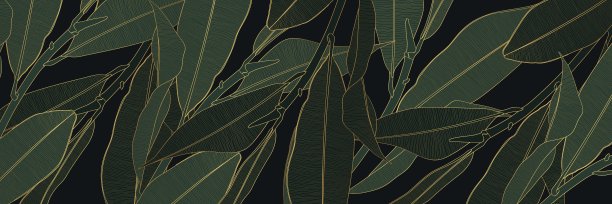 奢华的金色和自然的绿色背景。花卉图案，金色裂叶木兰枝叶与线条艺术插图。图片下载