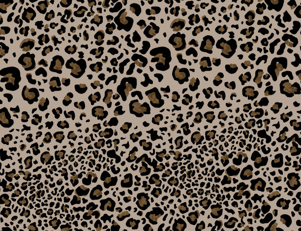 无缝豹纹设计图案，动物图案。图片下载