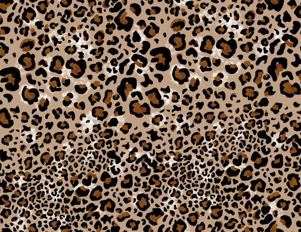 无缝豹纹设计图案，动物图案。图片下载
