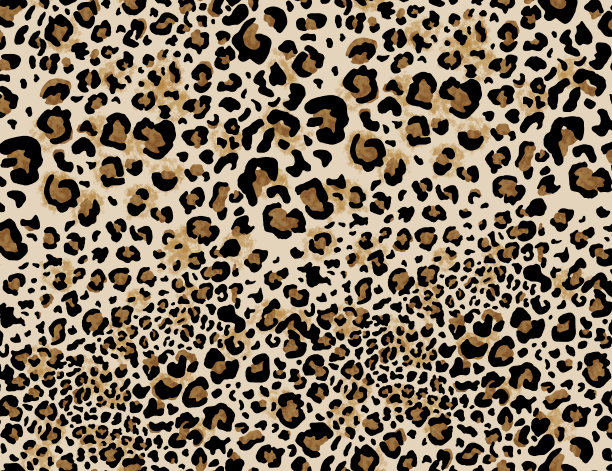 无缝豹纹设计图案，动物图案。图片下载