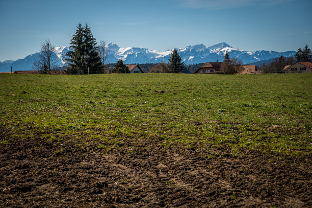 田园诗般的风景。瑞士的农田，树木和房屋。图片下载