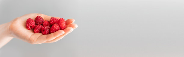 手握新鲜的覆盆子，手握灰色背景。刚收获的。健康饮食，节食水果图片下载